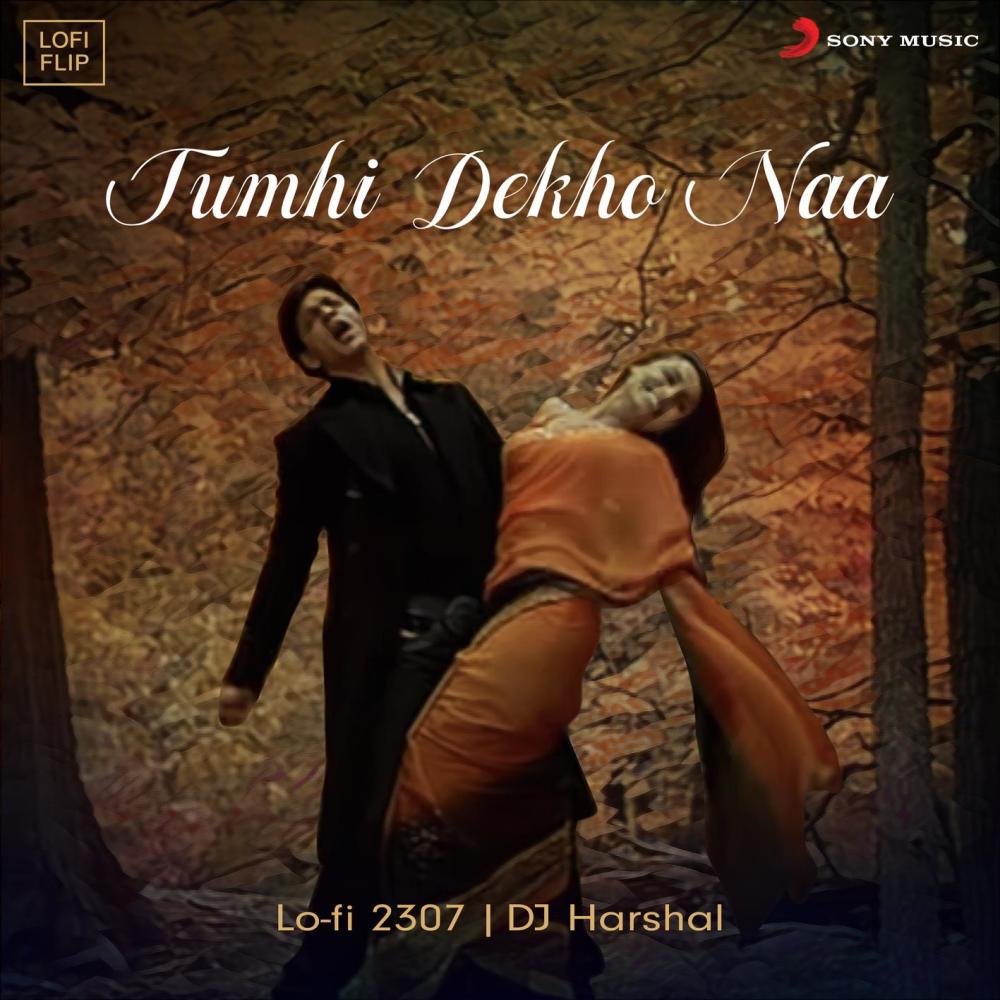 Tumhi Dekho Naa (Lofi Flip)