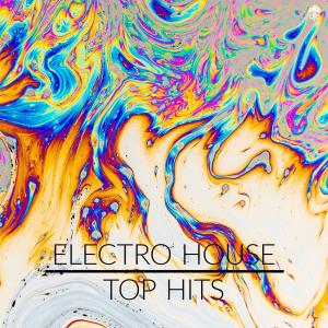 Electro House - Top Hits dari Various