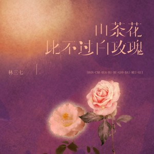 收聽林三七的山茶花比不過白玫瑰歌詞歌曲