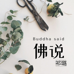Listen to 佛说 song with lyrics from 祁璐
