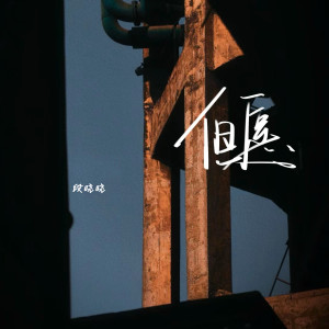 Album 但愿 from 段晓晓