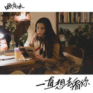 Listen to 一直想去看你 (伴奏) song with lyrics from 曲肖冰