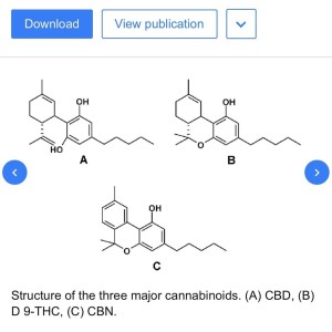 Listen to CBD (feat. Red Eye & D.O) [Remix] (Explicit) song with lyrics from Kohh
