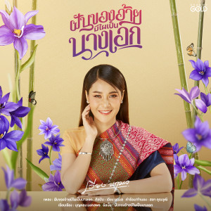 ดาวน์โหลดและฟังเพลง ฝันของอ้ายมีไผเป็นนางเอก พร้อมเนื้อเพลงจาก เวียง นฤมล