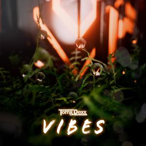 收聽Tom & Dexx的Vibes歌詞歌曲