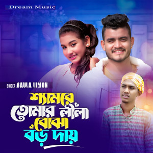 Album Shamre Tomar Lila Bojha Boro Daay from 