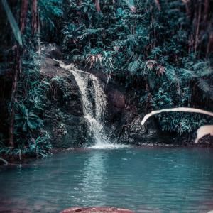 Listen to Darling song with lyrics from Meditation Nature Sounds