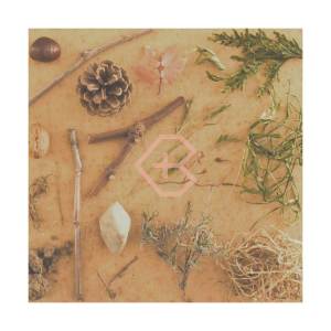 收聽Dozy Blank的Forest Whisper歌詞歌曲