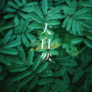 收聽輕鬆頻率的林中漫步歌詞歌曲