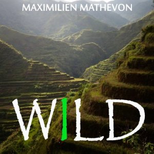ดาวน์โหลดและฟังเพลง The Baby Panda พร้อมเนื้อเพลงจาก Maximilien Mathevon