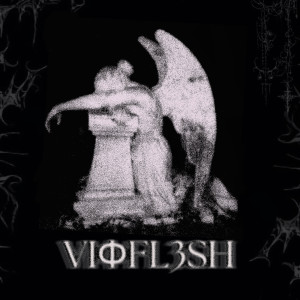 Listen to Falls song with lyrics from vioflesh