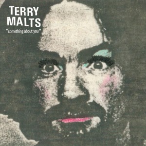 อัลบัม Something About You ศิลปิน Terry Malts