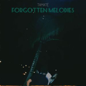 ดาวน์โหลดและฟังเพลง Run พร้อมเนื้อเพลงจาก Tamaté