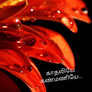 Album Kaadhaliye Kanmaniye from Asalt Raju