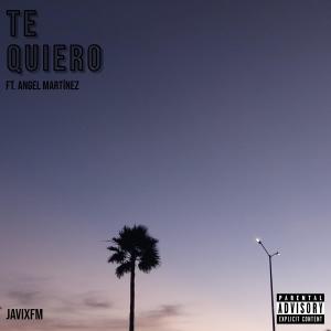 Listen to Te Quiero(feat. Angel Martínez) (Explicit) song with lyrics from JavixFM