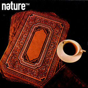 ดาวน์โหลดและฟังเพลง Yes, It's Possible พร้อมเนื้อเพลงจาก Nature TM