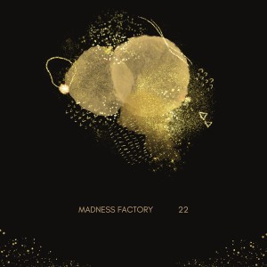 Listen to Twenty Two song with lyrics from Madness Factory