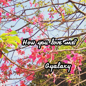 Gyalaxy的專輯How You Love Me