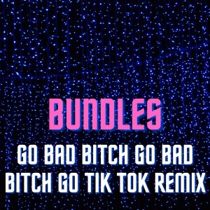 ดาวน์โหลดและฟังเพลง Bundles Go Bad Bitch Go Bad Bitch Go TikTok Remix พร้อมเนื้อเพลงจาก Dj Tik Tok Mix