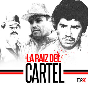 Listen to El De Camargo song with lyrics from Various