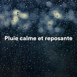 Bruit de Pluie et Musique pour Dormir的专辑Pluie calme et reposante
