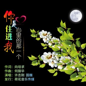 Listen to 你是住进我心里的那一个 (伴奏) song with lyrics from 许志刚