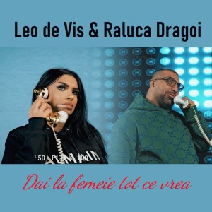 Listen to Dai la femeie tot ce vrea song with lyrics from Leo de Vis