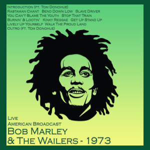 ดาวน์โหลดและฟังเพลง You Can't Blame The Youth (Live) พร้อมเนื้อเพลงจาก Bob Marley & The Wailers