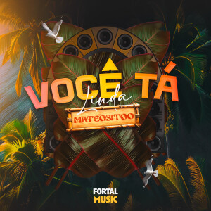 Album Você Tá Linda (Remix) [Explicit] from Mateositoo