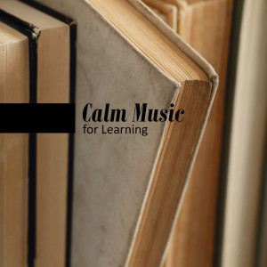 Mind Power Piano Masters的專輯Calm Music for Learning - Music for Concentration and Better Effects