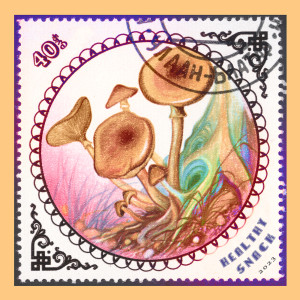 Dengarkan lagu Healthy Snack nyanyian Cargo Cult dengan lirik