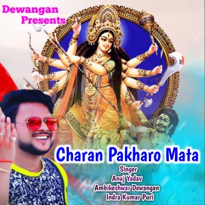 Listen to Charan Pakharo Mata song with lyrics from Anuj Yadav