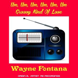 ดาวน์โหลดและฟังเพลง Groovy Kind of Love พร้อมเนื้อเพลงจาก Wayne Fontana