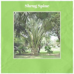 Various的专辑Shrug Spine