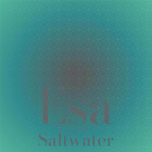 Various的专辑Esa Saltwater