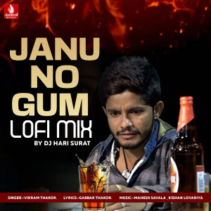 Vikram Thakor的專輯Janu No Gum (Lofi Mix)