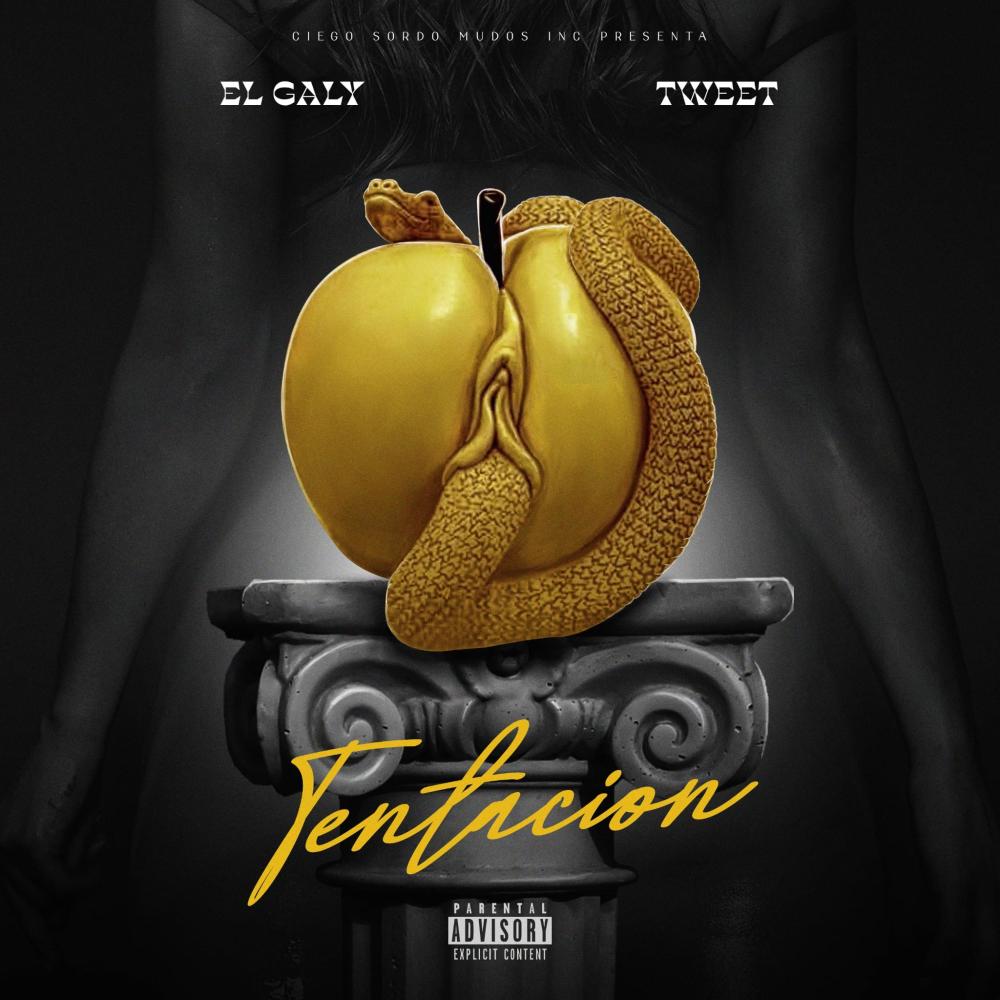 Tentacion(feat. Tweet) (Explicit)