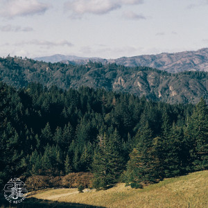 收聽cmj的In Season歌詞歌曲