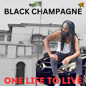 Dengarkan lagu One Life To Live nyanyian Black Champagne dengan lirik