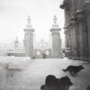 收聽hurtsucca的silent #evangelicy (Explicit)歌詞歌曲