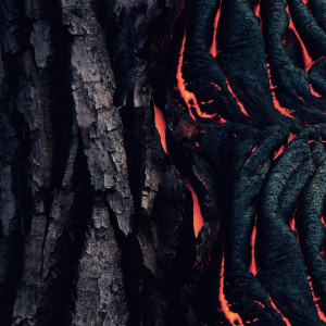 Listen to Experience (Explicit) song with lyrics from City Of The Fallen