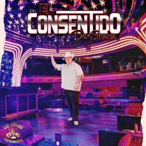 El Consentido de Sinaloa的专辑De Sombrero Caballo y Pistola