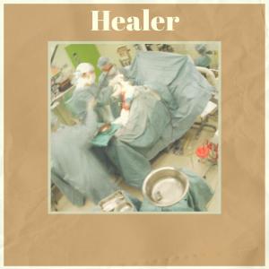 Album Healer from Various Artists
