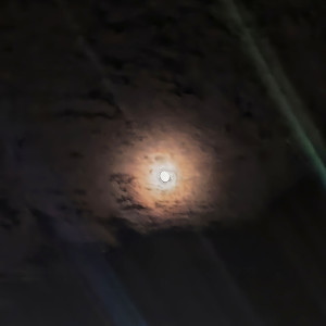 อัลบัม Where to Go ศิลปิน odier