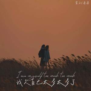 Listen to 我欠自己太多太多了 song with lyrics from 萱子