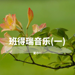 收聽夏小吖的安妮的仙境歌詞歌曲