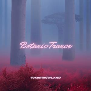 Tomorrowland的專輯Botanic Trance
