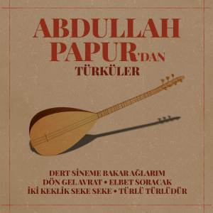Listen to Türlü Türlüdür song with lyrics from Abdullah Papur