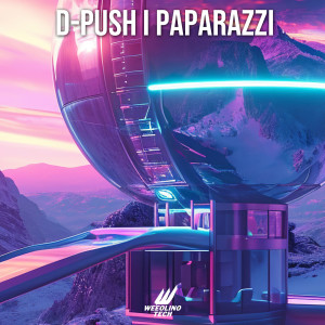 Listen to Paparazzi song with lyrics from D-Push