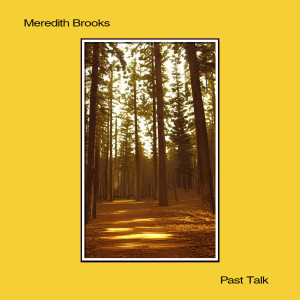 Meredith Brooks的专辑Past Talk